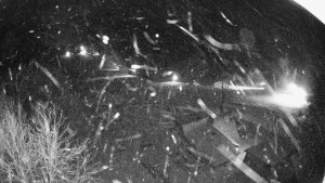 Snowparadise Veľká Rača - Dedovka vrchol - 20.2.2026 v 03:15 Snowparadise Veľká Rača - Dedovka vrchol - 20.2.2026 v 03:15