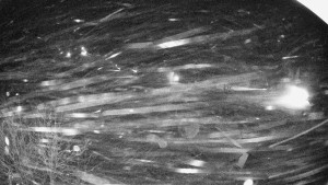 Snowparadise Veľká Rača - Dedovka vrchol - 20.2.2026 v 04:15 Snowparadise Veľká Rača - Dedovka vrchol - 20.2.2026 v 04:15