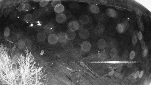 Snowparadise Veľká Rača - Dedovka vrchol - 8.4.2026 v 02:32 Snowparadise Veľká Rača - Dedovka vrchol - 8.4.2026 v 02:32