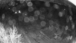 Snowparadise Veľká Rača - Dedovka vrchol - 8.4.2026 v 03:02 Snowparadise Veľká Rača - Dedovka vrchol - 8.4.2026 v 03:02