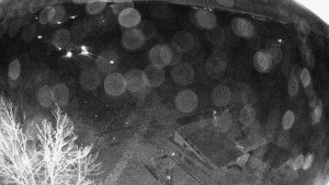 Snowparadise Veľká Rača - Dedovka vrchol - 8.4.2026 v 03:32 Snowparadise Veľká Rača - Dedovka vrchol - 8.4.2026 v 03:32