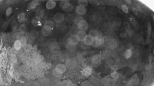 Snowparadise Wielka Racza - Szczyt Dedowka-Gipfel - 9.8.2026 v 02:45 Snowparadise Wielka Racza - Szczyt Dedowka-Gipfel - 9.8.2026 v 02:45