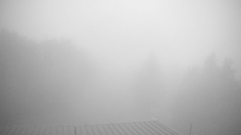 Snímek    28.10.2025 v 16:45