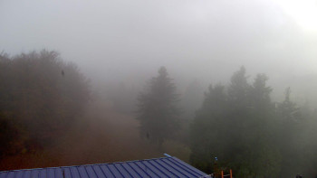 Snímek    29.10.2025 v 09:15