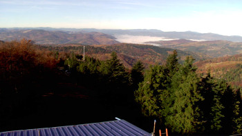 Snímek    31.10.2025 v 09:00