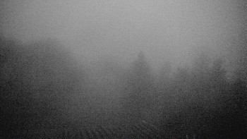 Snímek    3.11.2025 v 06:00