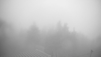 Snímek    3.11.2025 v 06:15