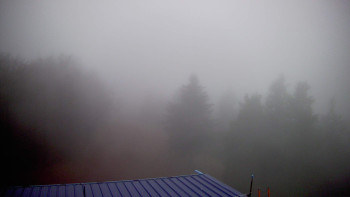 Snímek    3.11.2025 v 07:30