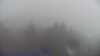 Snímek    3.11.2025 v 10:00