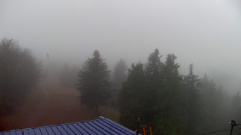 Snímek    3.11.2025 v 11:45