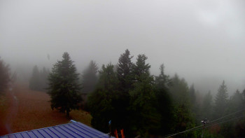 Snímek    3.11.2025 v 12:45