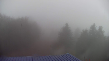 Snímek    3.11.2025 v 13:00