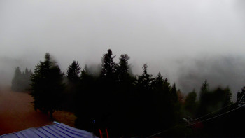 Snímek    3.11.2025 v 13:15