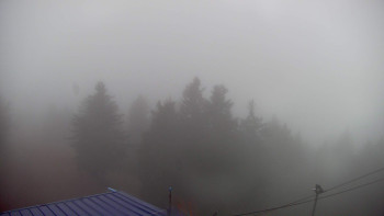 Snímek    3.11.2025 v 15:30