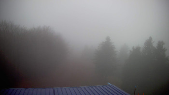 Snímek    3.11.2025 v 15:45