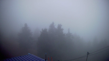 Snímek    3.11.2025 v 16:00