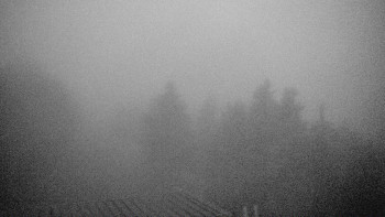 Snímek    3.11.2025 v 17:00