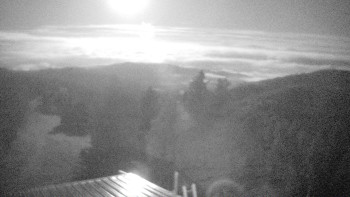 Snímek    4.11.2025 v 04:00