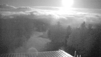 Snímek    4.11.2025 v 04:15