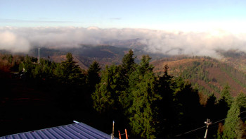 Snímek    4.11.2025 v 09:30