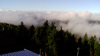 Snímek    4.11.2025 v 10:00