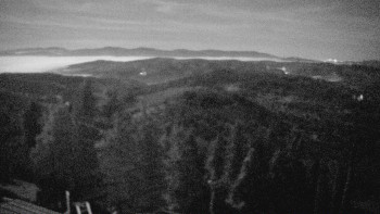 Snímek 5.11.2025 v 02:45