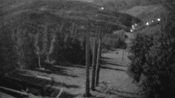 Snímek 5.11.2025 v 03:00