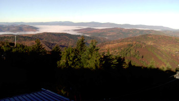 Snímek 6.11.2025 v 08:30