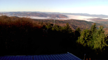 Snímek 6.11.2025 v 08:45