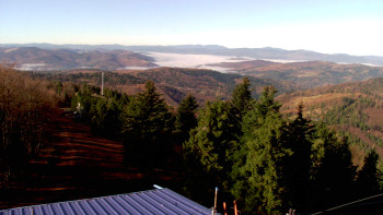 Snímek 6.11.2025 v 10:00