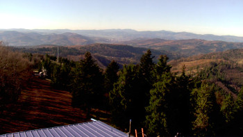 Snímek 6.11.2025 v 12:45