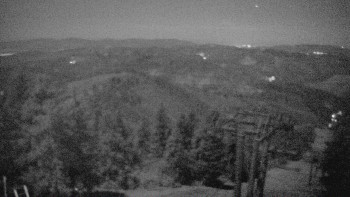 Snímek 7.11.2025 v 00:30