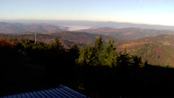 Snímek 7.11.2025 v 08:30