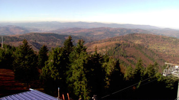 Snímek 7.11.2025 v 10:45