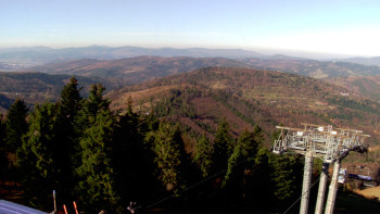 Snímek 7.11.2025 v 11:30