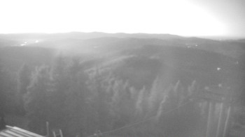 Snímek 7.11.2025 v 17:00