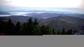 Snímek 8.11.2025 v 06:45