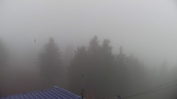 Snímek 9.11.2025 v 08:30