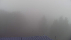 Lalíky vrcholová stanice