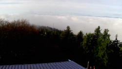 Lalíky vrcholová stanice