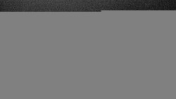 Lalíky vrcholová stanice