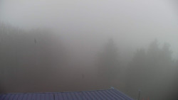 Lalíky vrcholová stanice