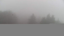 Lalíky vrcholová stanice