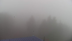 Lalíky vrcholová stanice