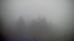 Lalíky vrcholová stanice