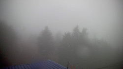 Lalíky vrcholová stanice