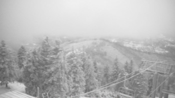 Snímek 18.11.2025 v 06:30