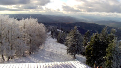 Lalíky vrcholová stanice