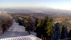 Lalíky vrcholová stanice