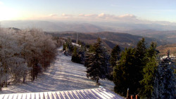 Lalíky vrcholová stanice